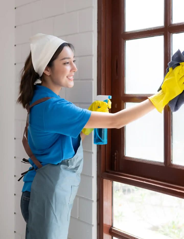 Limpieza profesional